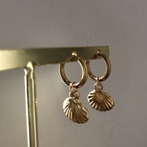 Ariel Hoops